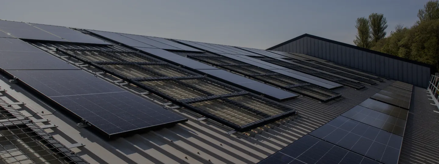 Sustainability report webpage hero